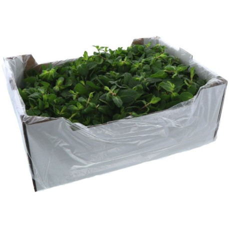 *PRODUIT BLOQUE * MENTHE POIVREE 1KG